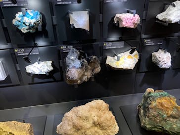 国立科学博物館に投稿された画像（2022/5/3）