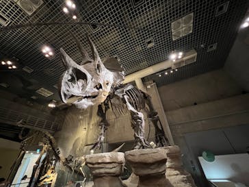 国立科学博物館に投稿された画像（2022/5/3）