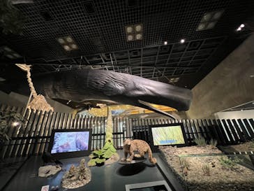 国立科学博物館に投稿された画像（2022/5/3）