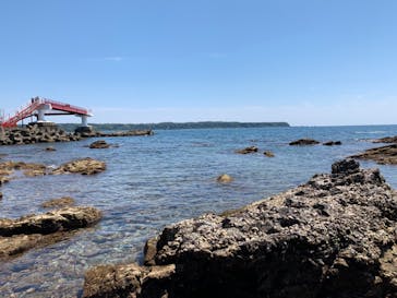 串本海中公園水族館に投稿された画像（2022/5/3）