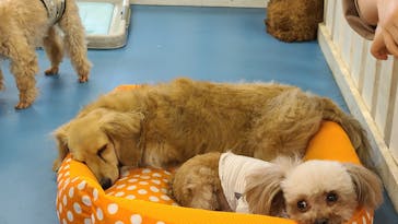 東武動物公園に投稿された画像（2022/5/3）