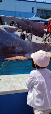 南知多ビーチランド＆南知多おもちゃ王国に投稿された画像（2022/5/3）