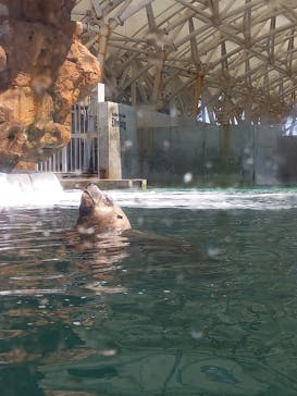 城崎マリンワールドに投稿された画像（2022/5/3）