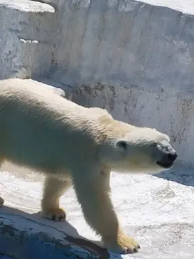 天王寺動物園に投稿された画像（2022/5/3）