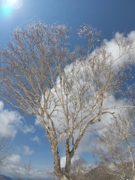 野沢温泉スキー場に投稿された画像（2022/5/3）