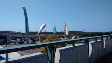 島根県立 しまね海洋館に投稿された画像（2022/5/3）