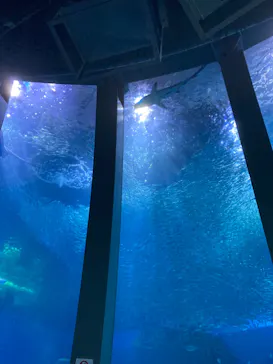 横浜・八景島シーパラダイスに投稿された画像（2022/5/3）