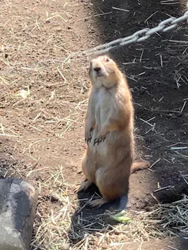 横浜・八景島シーパラダイスに投稿された画像（2022/5/3）