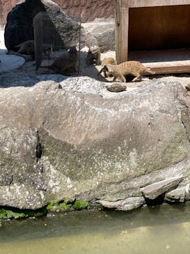 伊豆シャボテン動物公園に投稿された画像（2022/5/3）