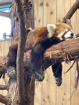 伊豆シャボテン動物公園に投稿された画像（2022/5/3）