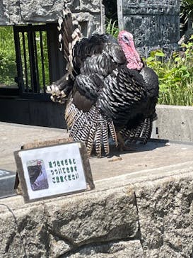 伊豆シャボテン動物公園に投稿された画像（2022/5/3）