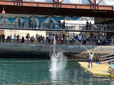 伊豆・三津シーパラダイスに投稿された画像（2022/5/3）