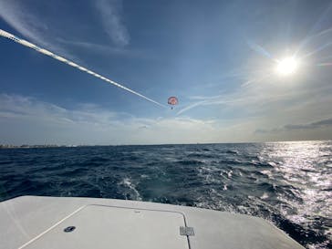 スカイウォーカーに投稿された画像（2022/5/3）