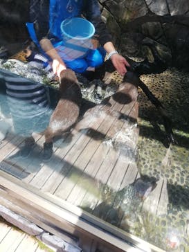 伊豆・三津シーパラダイスに投稿された画像（2022/5/3）