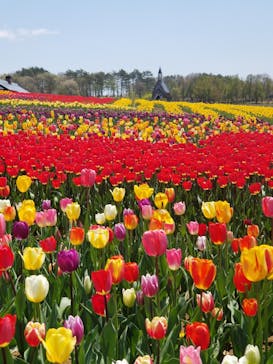 牧歌の里に投稿された画像（2022/5/3）