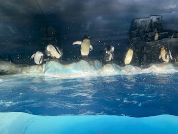 名古屋港水族館に投稿された画像（2022/5/3）