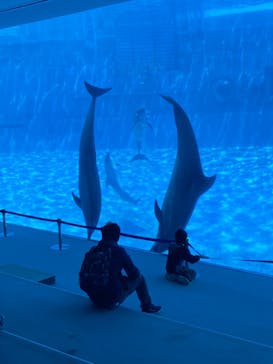 名古屋港水族館に投稿された画像（2022/5/3）