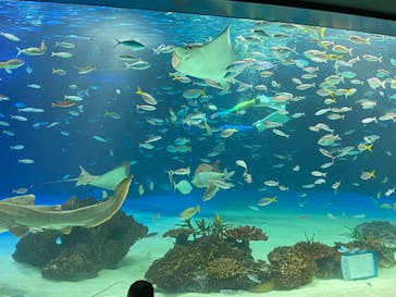 サンシャイン水族館に投稿された画像（2022/5/3）