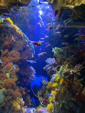 サンシャイン水族館に投稿された画像（2022/5/3）