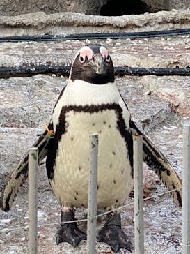 サンシャイン水族館に投稿された画像（2022/5/3）