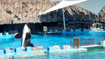 名古屋港水族館に投稿された画像（2022/5/3）