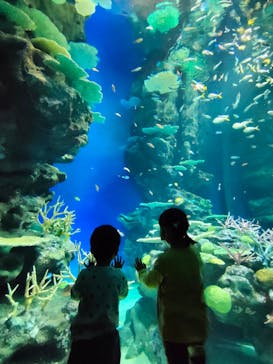 島根県立 しまね海洋館に投稿された画像（2022/5/3）