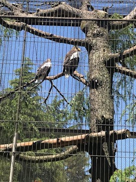 よこはま動物園ズーラシアに投稿された画像（2022/5/3）