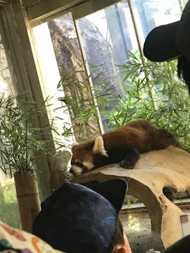 よこはま動物園ズーラシアに投稿された画像（2022/5/3）