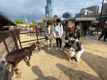 天王寺動物園に投稿された画像（2022/5/3）
