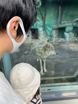 天王寺動物園に投稿された画像（2022/5/3）