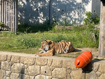天王寺動物園に投稿された画像（2022/5/3）