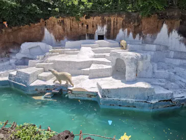 天王寺動物園に投稿された画像（2022/5/3）