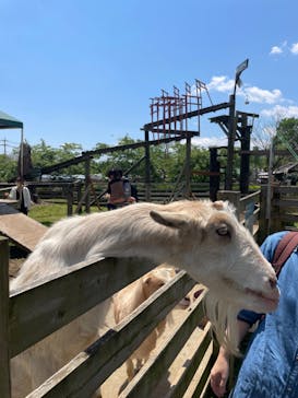 まかいの牧場に投稿された画像（2022/5/3）