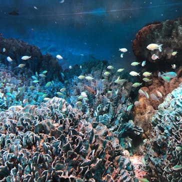 サンシャイン水族館に投稿された画像（2022/5/3）