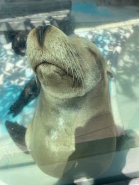 サンシャイン水族館に投稿された画像（2022/5/3）