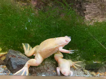 天王寺動物園に投稿された画像（2022/5/3）