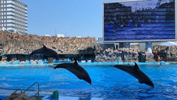 名古屋港水族館に投稿された画像（2022/5/3）