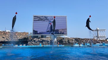 名古屋港水族館に投稿された画像（2022/5/3）