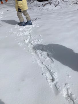 野沢温泉スキー場に投稿された画像（2022/5/3）