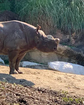 天王寺動物園に投稿された画像（2022/5/3）