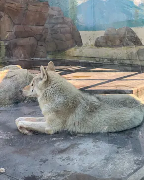 天王寺動物園に投稿された画像（2022/5/3）