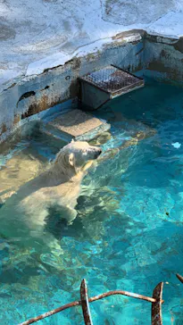 天王寺動物園に投稿された画像（2022/5/3）
