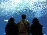 アクアワールド茨城県大洗水族館に投稿された画像（2022/5/3）