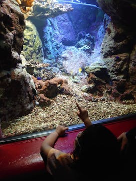 株式会社Gに投稿された画像（2022/5/3）