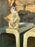 よこはま動物園ズーラシアに投稿された画像（2022/5/3）