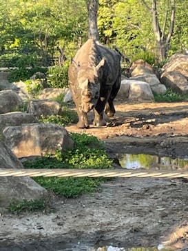 よこはま動物園ズーラシアに投稿された画像（2022/5/3）