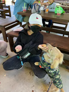 わんダフルネイチャーヴィレッジに投稿された画像（2022/5/3）