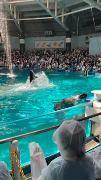 マクセル アクアパーク品川に投稿された画像（2022/5/3）