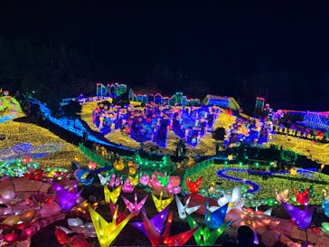 伊豆ぐらんぱる公園に投稿された画像（2022/5/3）