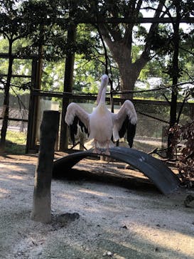 東武動物公園に投稿された画像（2022/5/3）